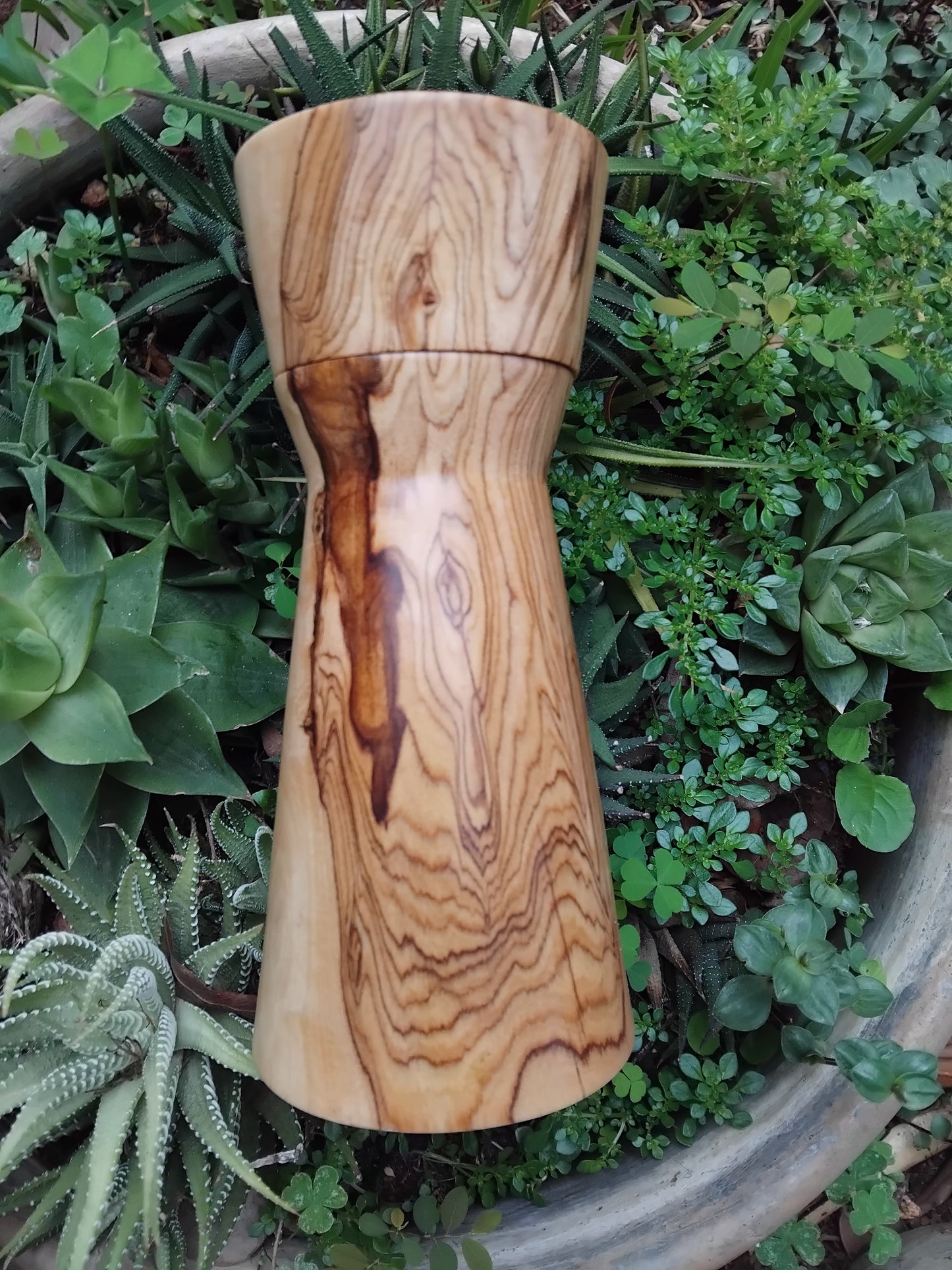Mill: Wild olive