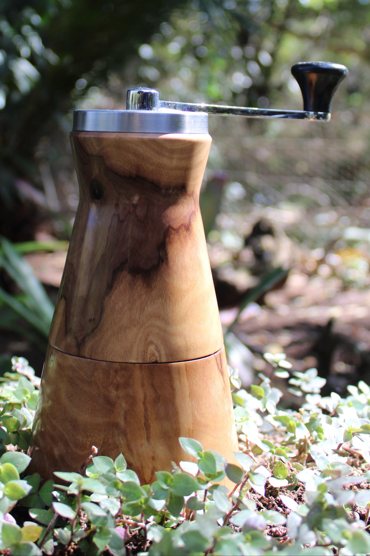 Coffee Grinder: Wild Olive