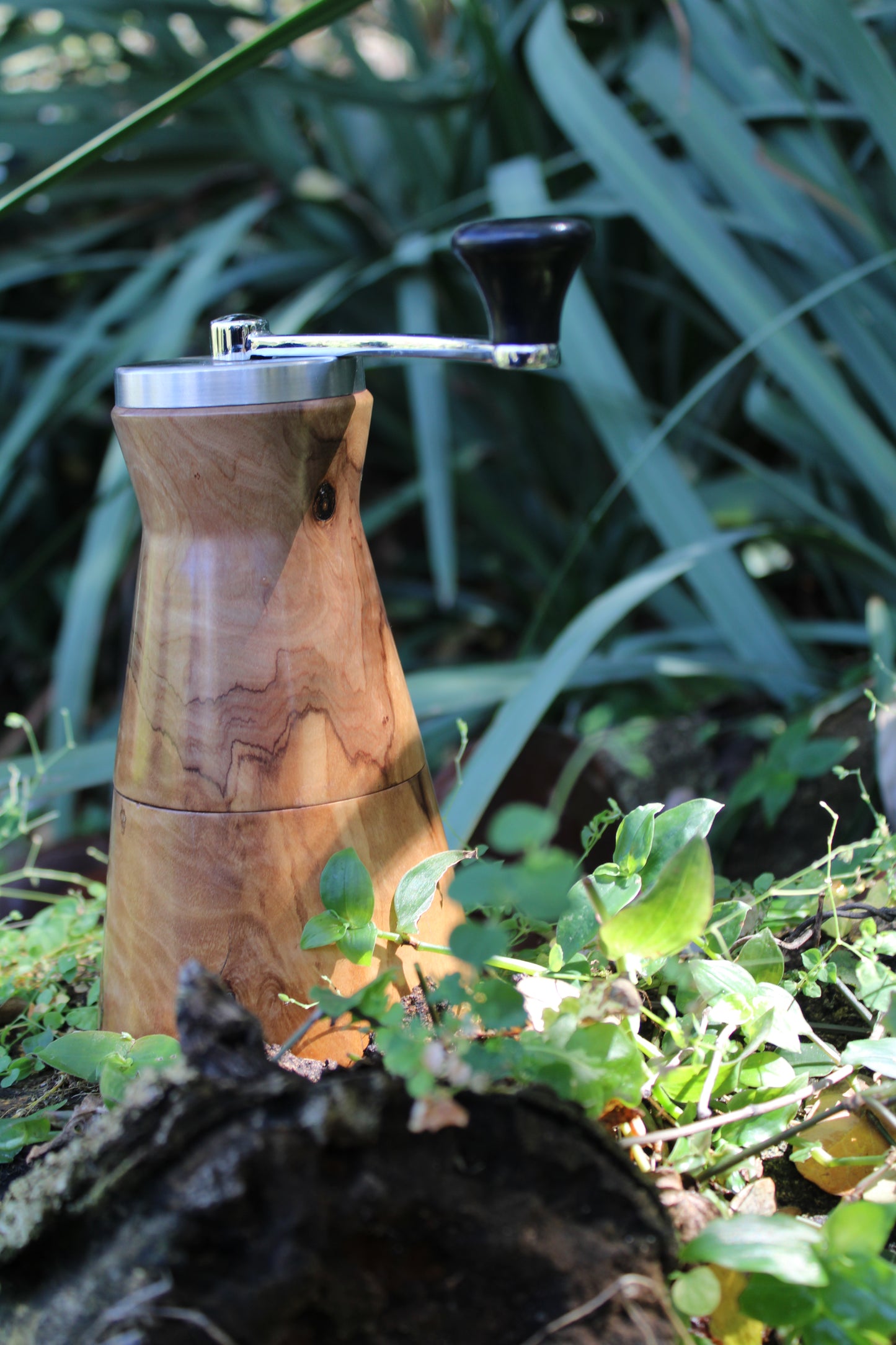 Coffee Grinder: Wild Olive
