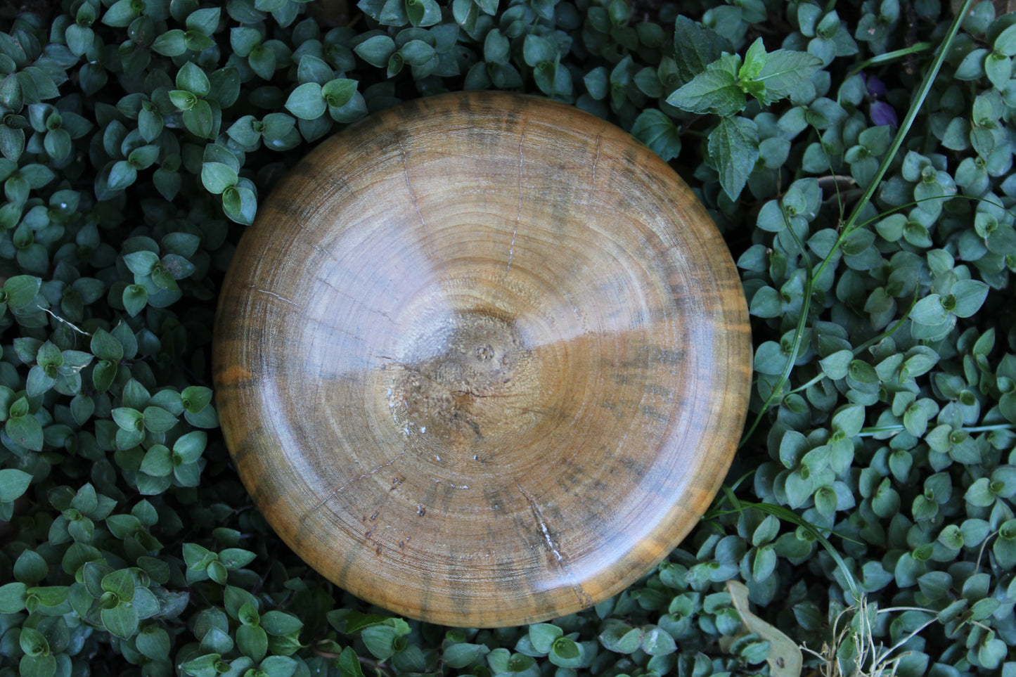 Pillow Bowl