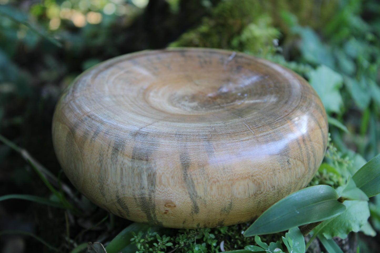 Pillow Bowl
