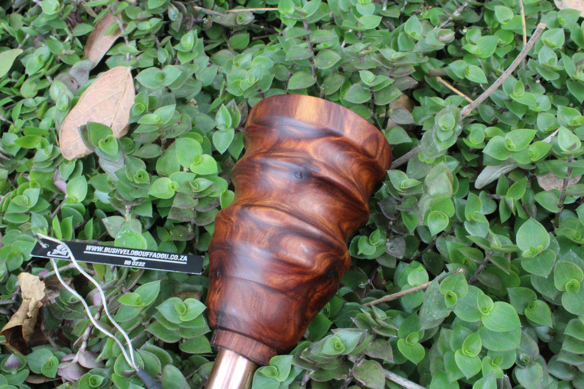 Bouffadou: Tamboti