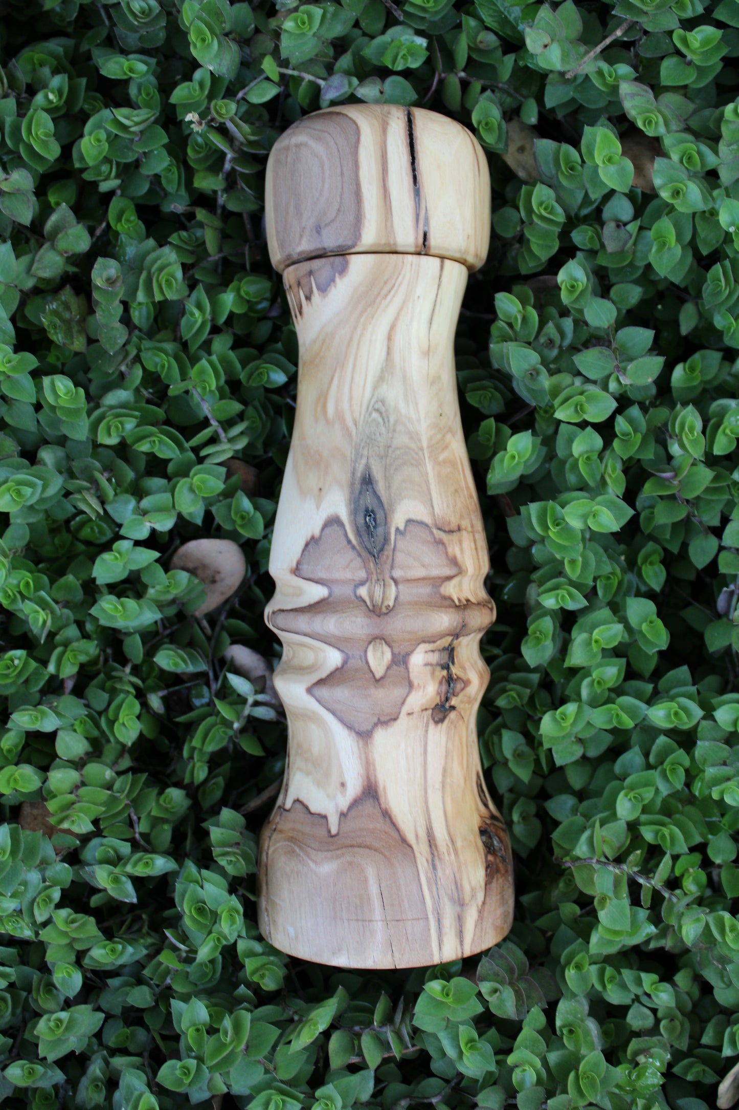 Pepper Mill | Wild Olive