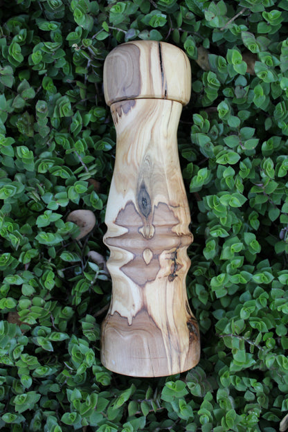Pepper Mill | Wild Olive