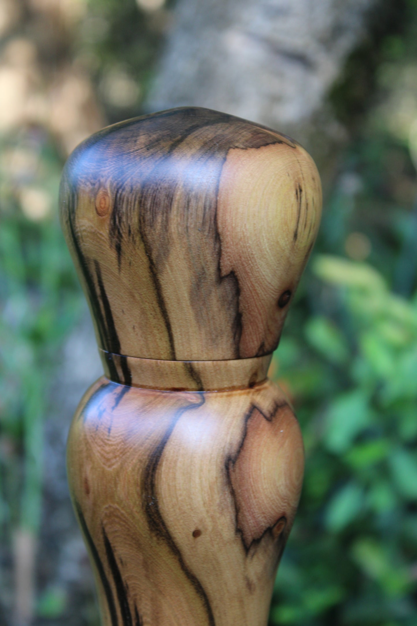 Pepper Mill | Common Wild Pear