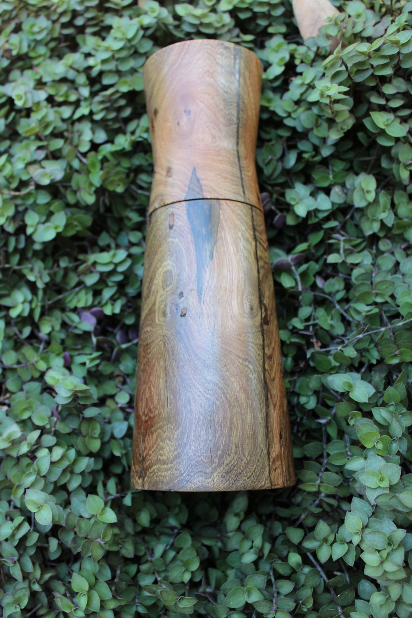 Pepper Mill | Common Wild Pear